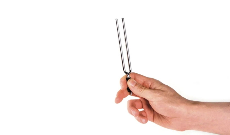 Planet Waves PW-TF Tuning Fork